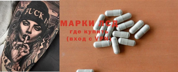 гидра Аркадак