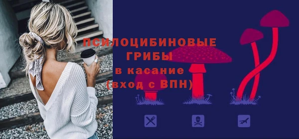 apvp Армянск