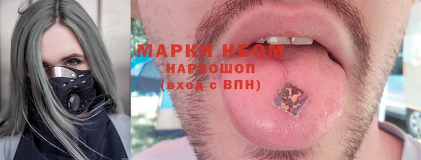 ПСИЛОЦИБИНОВЫЕ ГРИБЫ Арсеньев