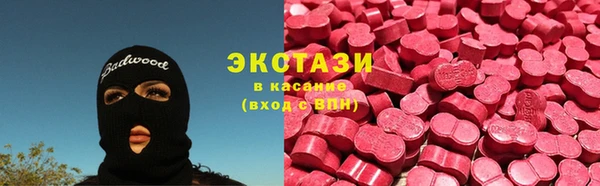 гидра Аркадак
