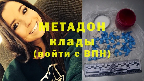 ПСИЛОЦИБИНОВЫЕ ГРИБЫ Арсеньев