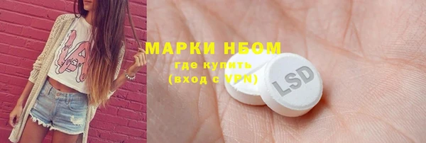 гидра Аркадак