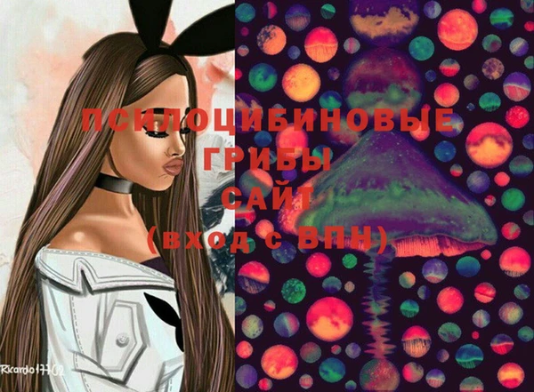 гидра Аркадак