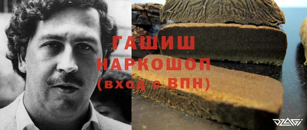гидра Аркадак
