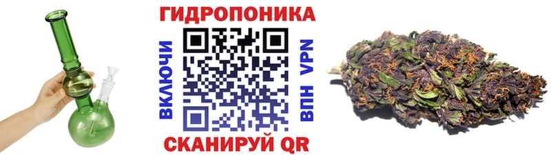 Купить закладки  Белокуриха  Бошки Шишки ГИДРОПОН 